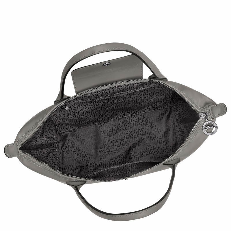Dámské Přebalovací Tašky Longchamp Le Pliage Xtra M Šedé CZ | L2605987P55