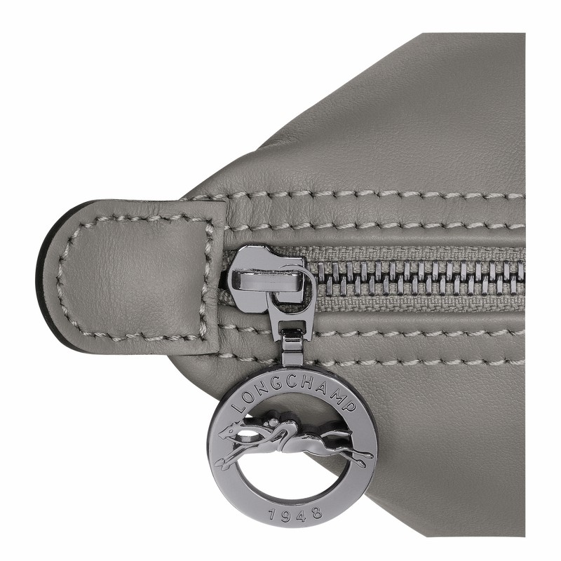 Dámské Přebalovací Tašky Longchamp Le Pliage Xtra M Šedé CZ | L2605987P55